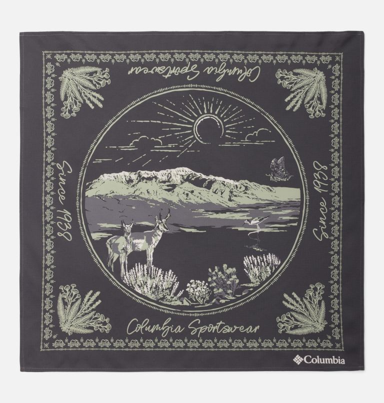 bandana skien valley