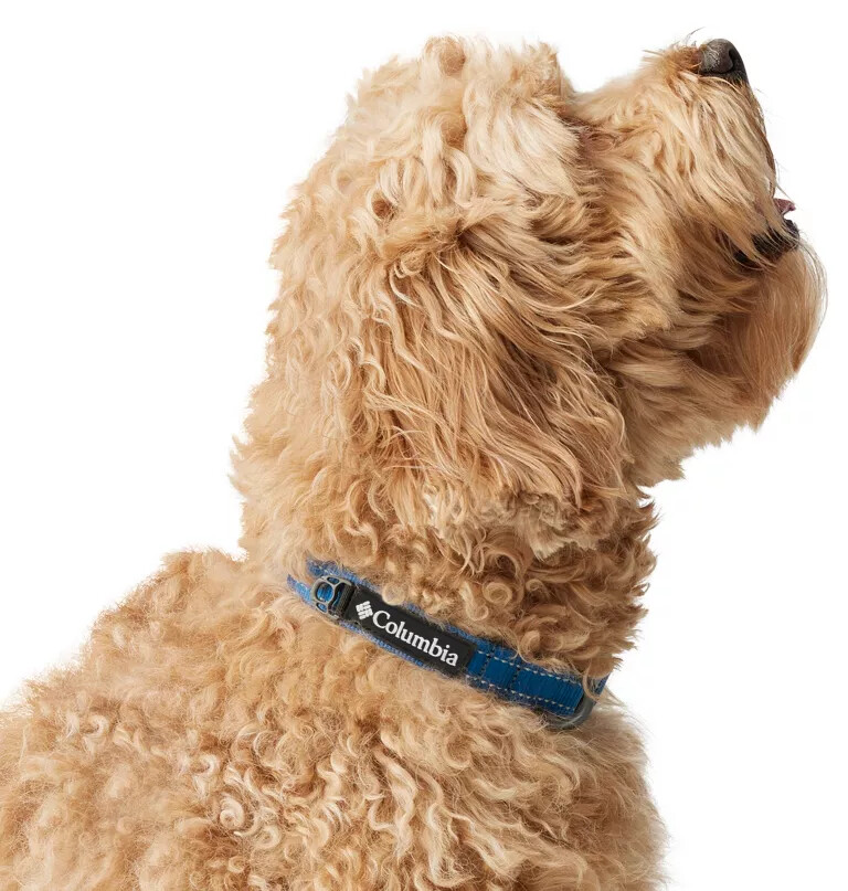 coleira para cães silver ridge