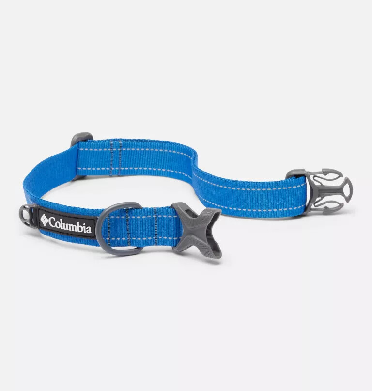 coleira para cães silver ridge