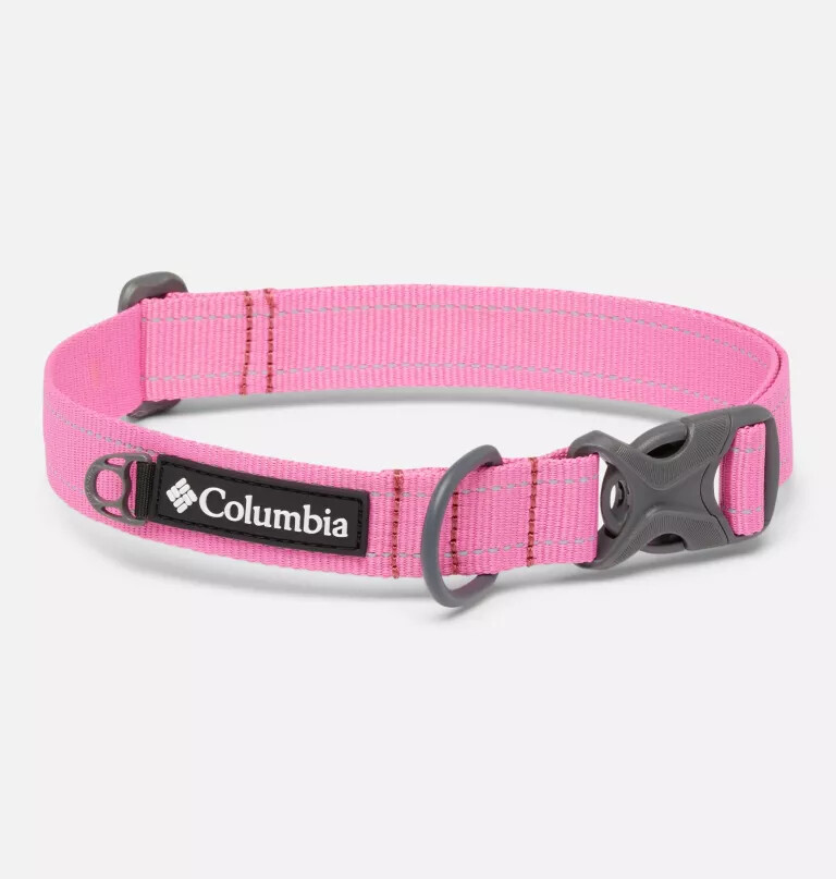coleira para cães silver ridge