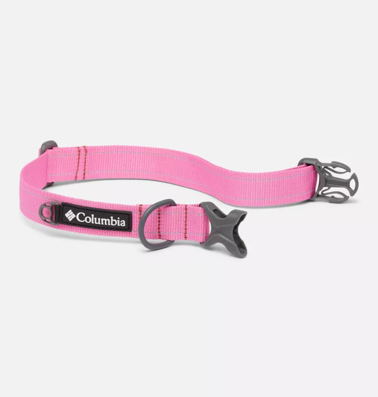 coleira para cães silver ridge
