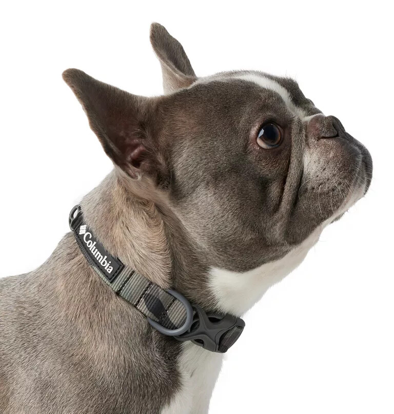 coleira para cães silver ridge