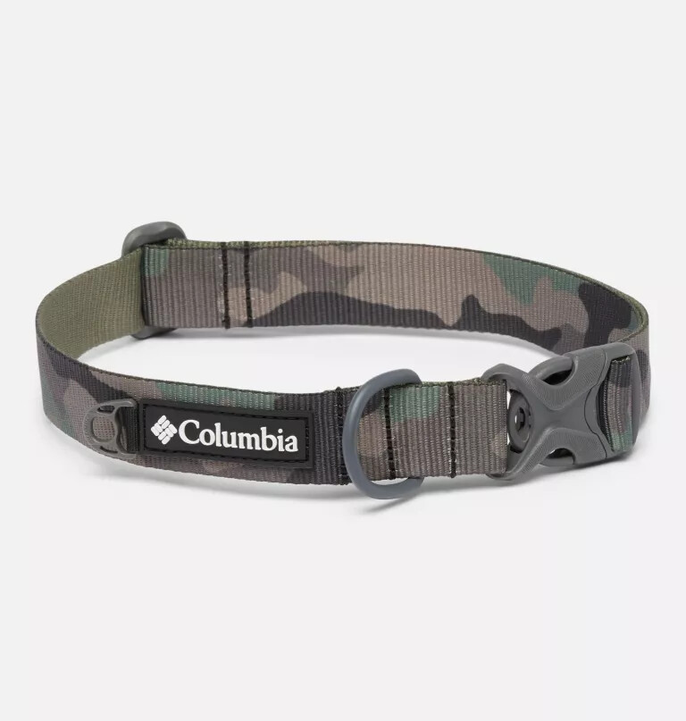 coleira para cães silver ridge