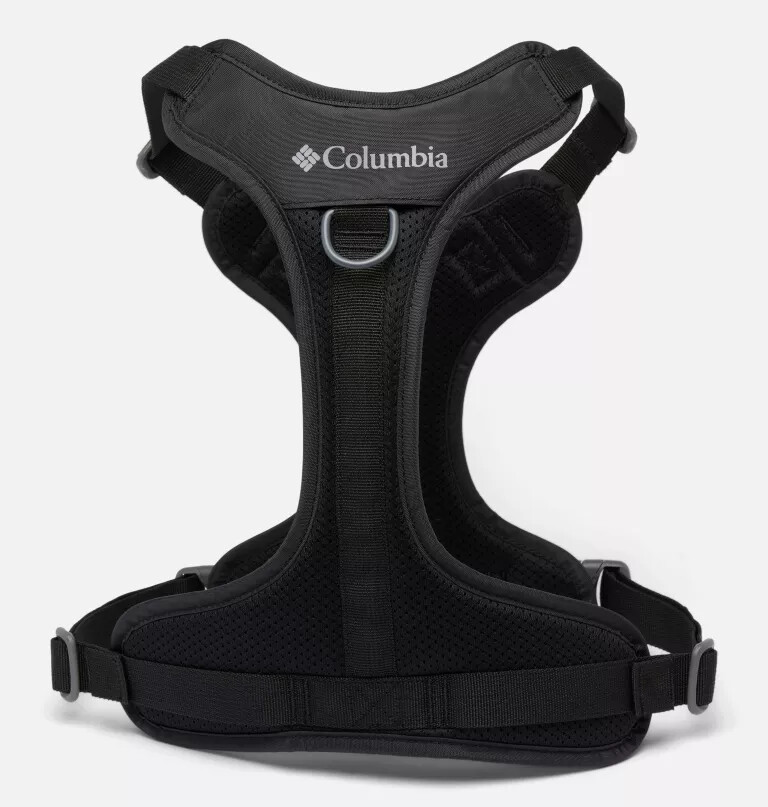 coleira para cães silver ridge